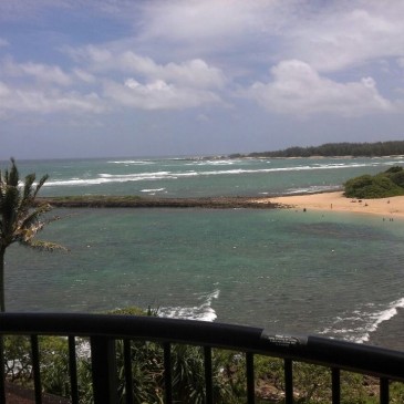 Turtle Bay Resort