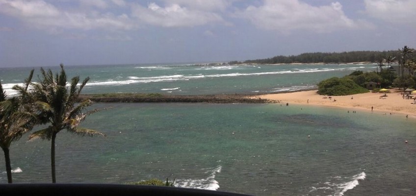 Turtle Bay Resort